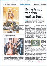 Artikel